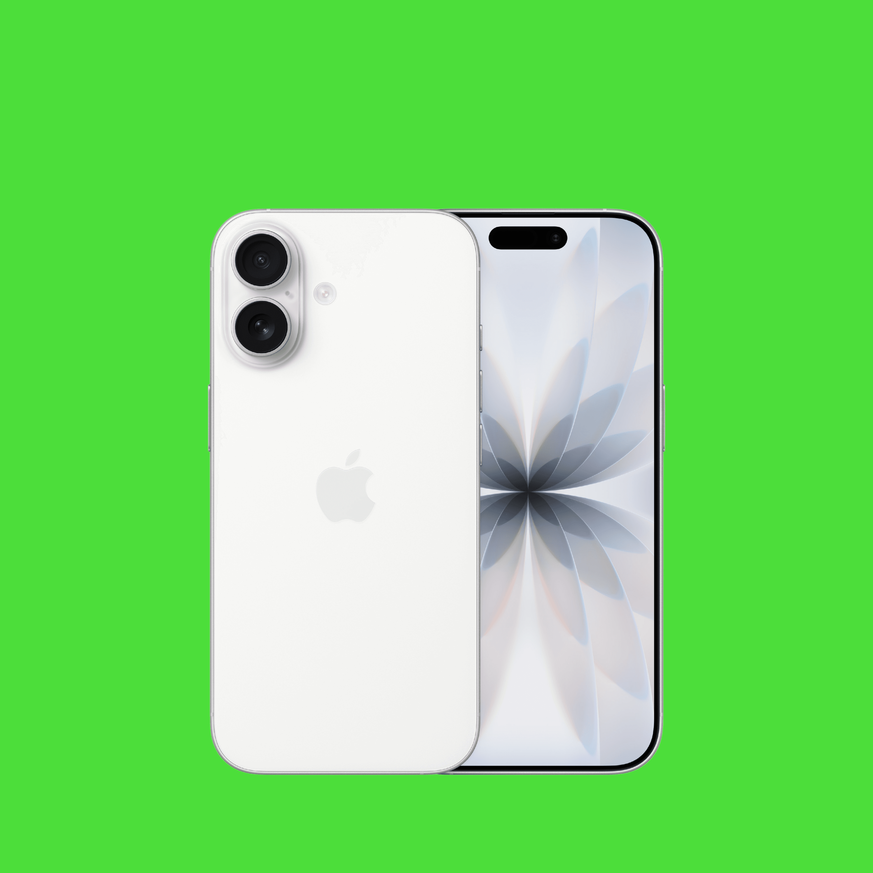 עיצוב ללא שם 2